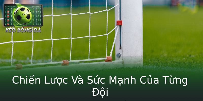 Chiến Lược Và Sức Mạnh Của Từng Đội Chiến Lược Và Sức Mạnh Của Từng Đội